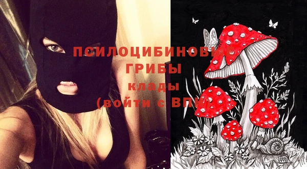ПСИЛОЦИБИНОВЫЕ ГРИБЫ Аркадак
