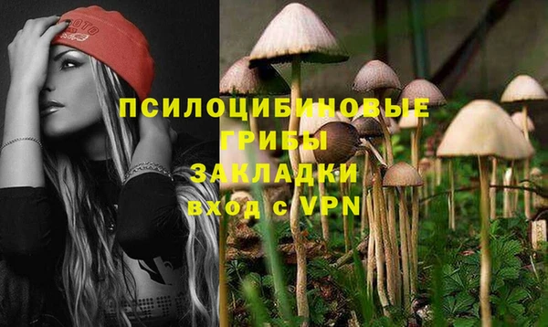 не бодяженный Арсеньев