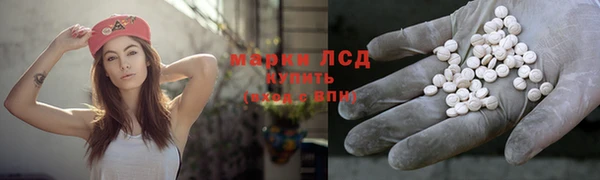 ПСИЛОЦИБИНОВЫЕ ГРИБЫ Аркадак