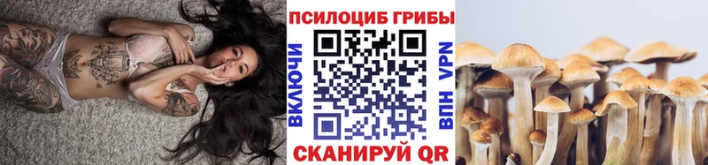 наркошоп  Сорочинск  Псилоцибиновые грибы GOLDEN TEACHER 