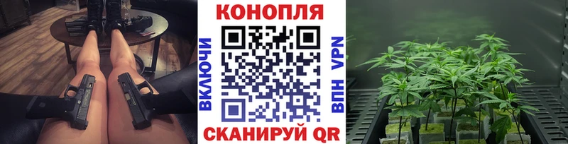 где купить наркоту  Сорочинск  Бошки марихуана марихуана 